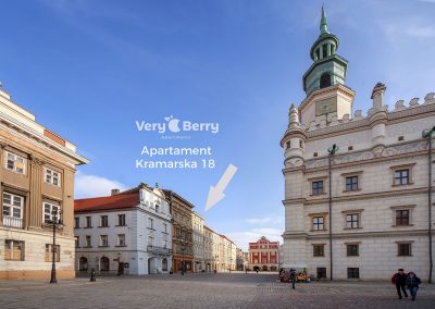 Apartamenty na Starym Rynku w Poznaniu - Very Berry Apartments (20)